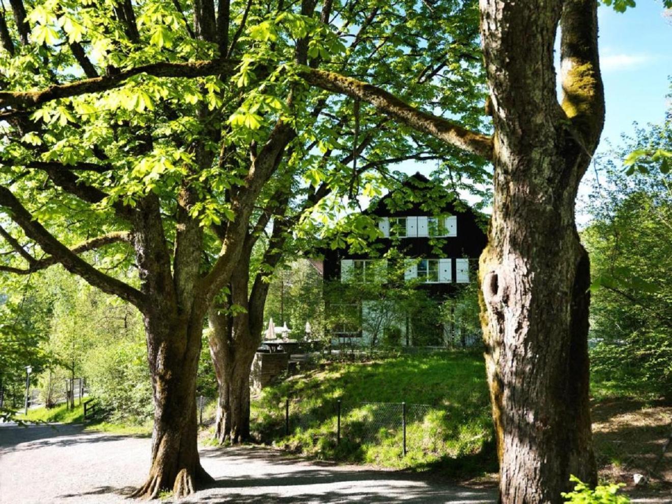 Hotel Langenberg Langnau am Albis Eksteriør bilde